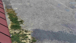 Nástup na běžecké tratě