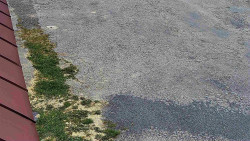 Nástup na běžecké tratě