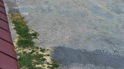 Nástup na běžecké tratě