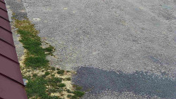 Nástup na běžecké tratě