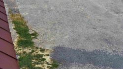 Nástup na běžecké tratě