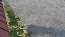 Nástup na běžecké tratě