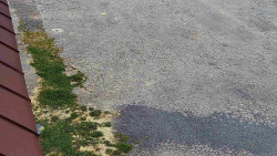 Nástup na běžecké tratě