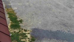 Nástup na běžecké tratě