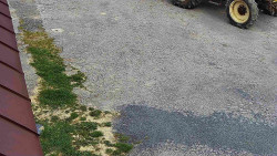 Nástup na běžecké tratě