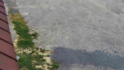 Nástup na běžecké tratě