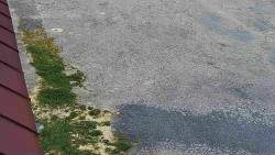 Nástup na běžecké tratě