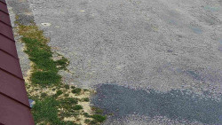 Nástup na běžecké tratě