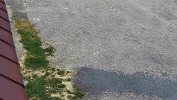 Nástup na běžecké tratě