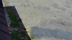 Nástup na běžecké tratě