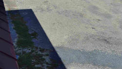 Nástup na běžecké tratě