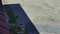 Nástup na běžecké tratě