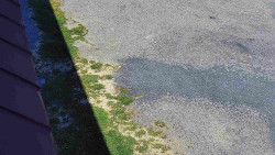 Nástup na běžecké tratě