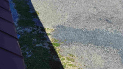 Nástup na běžecké tratě