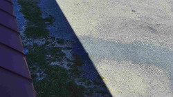 Nástup na běžecké tratě