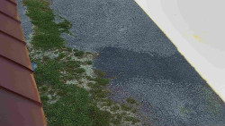 Nástup na běžecké tratě