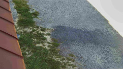 Nástup na běžecké tratě