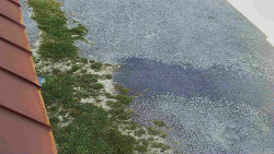 Nástup na běžecké tratě