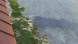 Nástup na běžecké tratě