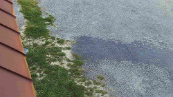 Nástup na běžecké tratě