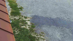 Nástup na běžecké tratě