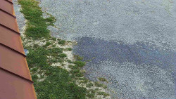 Nástup na běžecké tratě