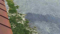 Nástup na běžecké tratě