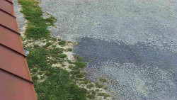 Nástup na běžecké tratě