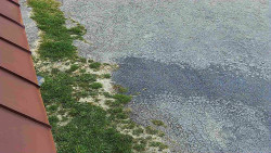 Nástup na běžecké tratě