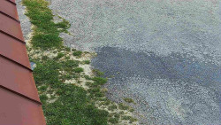 Nástup na běžecké tratě