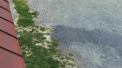 Nástup na běžecké tratě