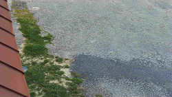 Nástup na běžecké tratě
