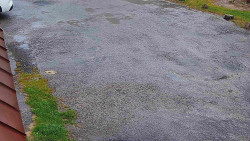 Nástup na běžecké tratě