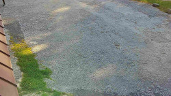 Nástup na běžecké tratě
