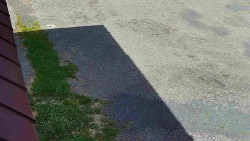Nástup na běžecké tratě