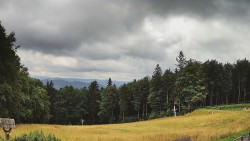 Entering the running tracks