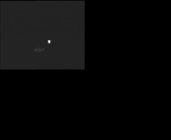 Snímek    29.10.2025 v 19:15