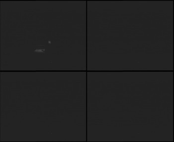 Snímek    31.10.2025 v 19:30