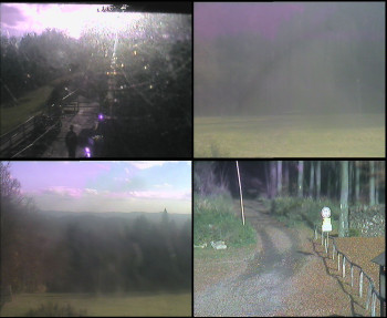 Snímek    1.11.2025 v 13:30