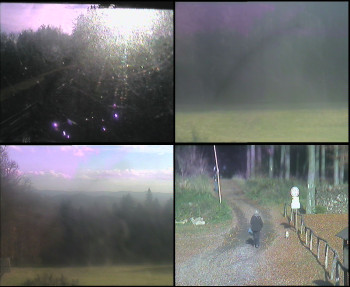 Snímek    1.11.2025 v 14:00