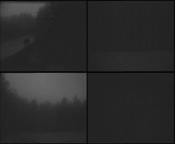 Snímek    3.11.2025 v 16:45