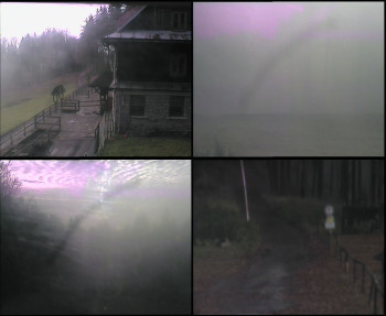 Snímek    4.11.2025 v 09:00