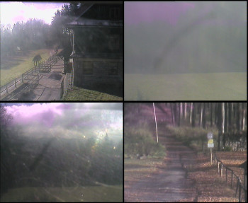 Snímek 4.11.2025 v 10:15