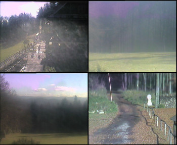 Snímek    4.11.2025 v 13:00