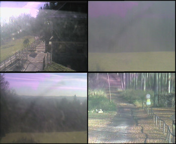 Snímek 5.11.2025 v 11:15