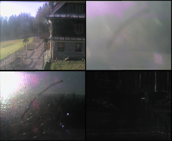 Snímek 6.11.2025 v 07:45