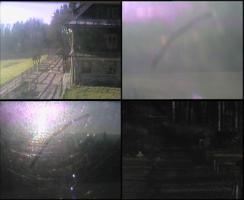 Snímek 6.11.2025 v 08:30