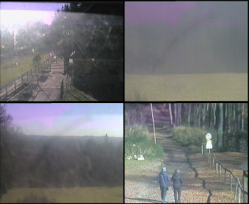 Snímek 6.11.2025 v 11:45