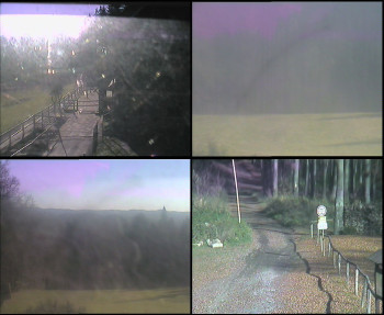 Snímek 6.11.2025 v 12:15