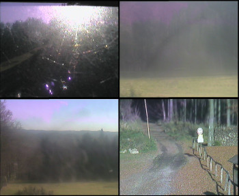 Snímek 6.11.2025 v 13:45